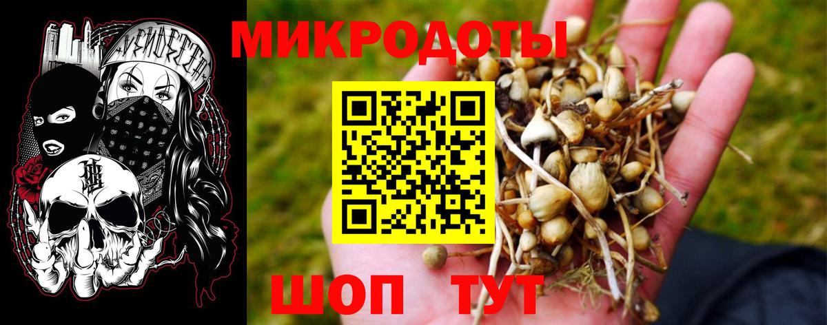 Урус-Мартан  Галлюциногенные грибы Psilocybine cubensis  Вход с VPN  продажа наркотиков  Галлюциногенные грибы мицелий 
