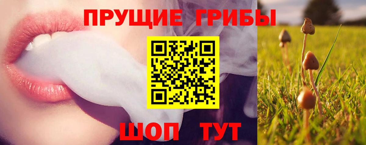 Псилоцибиновые грибы мицелий Урус-Мартан